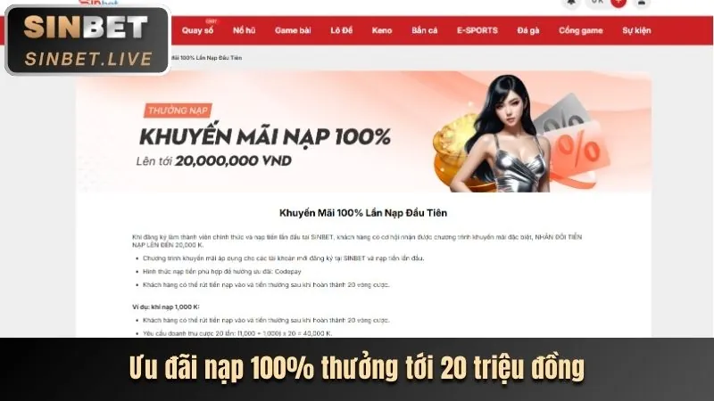 Chi tiết hoàn trả thể thao wynn08 win